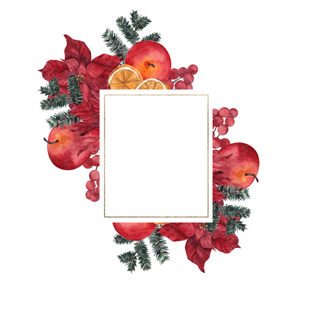 Christmas frame with winter flowers and leaves, isolated on white background - Foto, Imagem