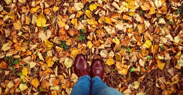 banner per web Autunno, autunno, foglie, gambe e scarpe. Immagine concettuale di stivali gambe sulle foglie autunnali. Scarpe piedi che camminano in natura. - Foto, immagini