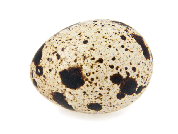Перепелині яйця
 - Фото, зображення