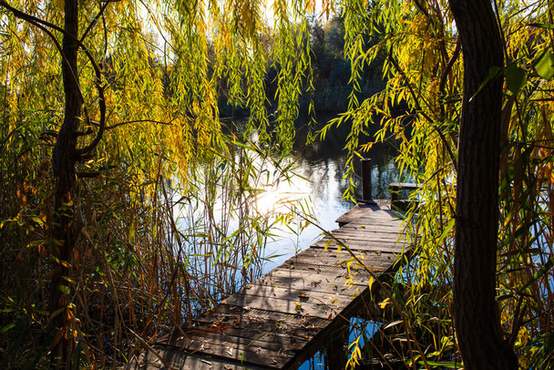 Una vista del río bañado en luz dorada con un pontón de madera y un sauce llorón. Hermoso otoño. - Foto, imagen