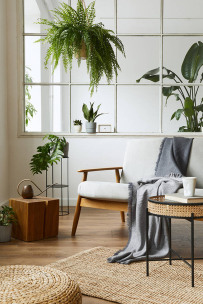 Modern scandinavian interior of living room with design grey sofa, armchair, a lot of plants, coffee table, carpet and personal accessories in cozy home decor. Template. - Foto, Imagem