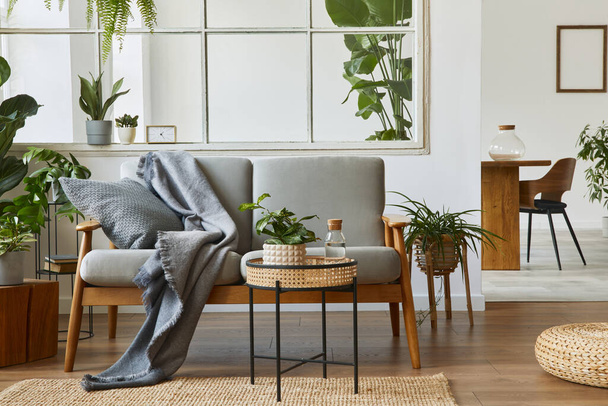 Modern scandinavian interior of living room with design grey sofa, armchair, a lot of plants, coffee table, carpet and personal accessories in cozy home decor. Template. - Foto, afbeelding