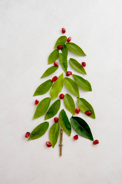Abstract Chirstmas tree made fro mgreen leaves and pomegranate, isolated. Winter evergreen Christmas tree. - 写真・画像