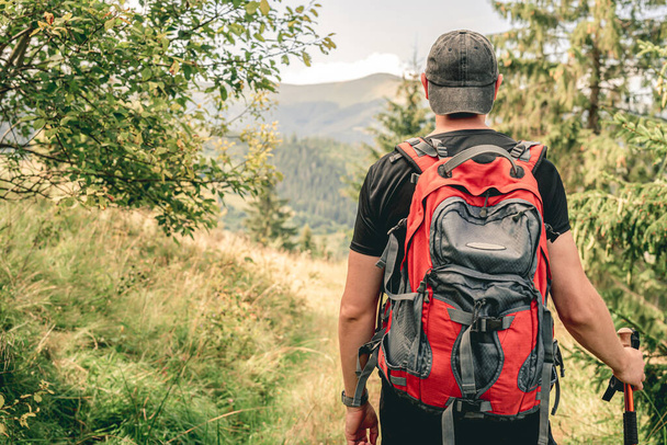 Tourist wearing backpack on mountain background - Fotó, kép
