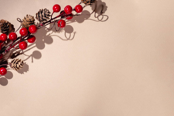 Christmas branch with red berries - Фото, зображення