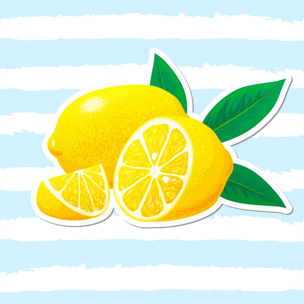 Lemon, plasterki cytryny z liśćmi. Wektor. Koncepcja logo. Ilustracja wektora narysowanego ręcznie - Wektor, obraz