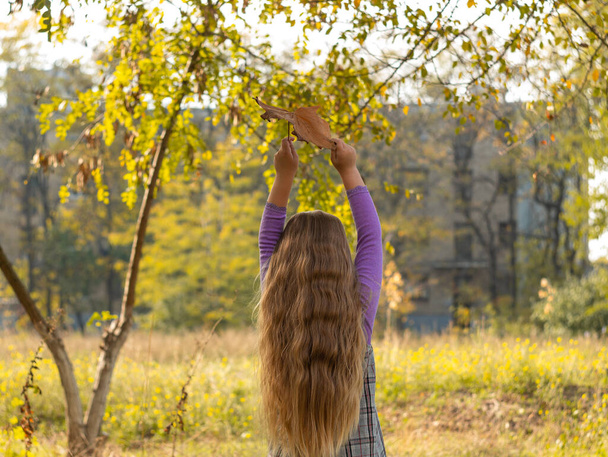 Beautiful girl with long blonde hair holds yellow leaves on nature background. Smiling child plays in autumn park outdoor on a sunny day. Cute happy kid in a plaid dress walking and dreaming alone. - Photo, Image