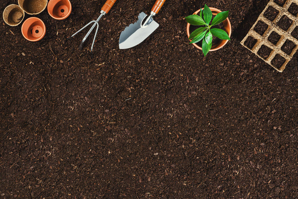 Gardening tools on soil background. Working in the garden - Фото, изображение