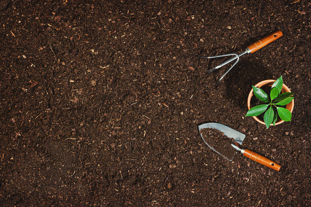 Gardening tools on soil background. Working in the garden - Fotografie, Obrázek