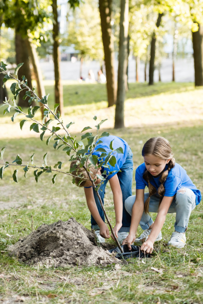 mother and daughter planting young tree in forest, ecology concept - Фото, зображення