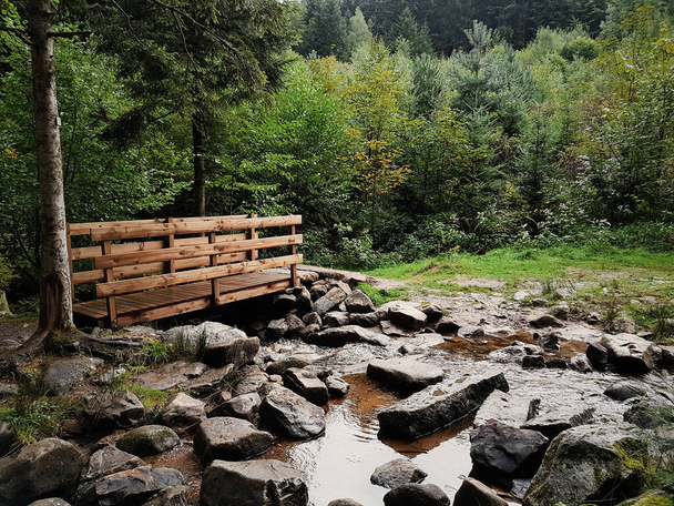 Pequena ponte de madeira na floresta - Foto, Imagem