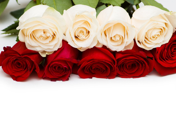 biało -czerwone róże na białym tle - Zdjęcie, obraz