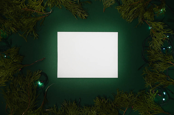White leaf on green christmas background. High quality photo - Фото, зображення