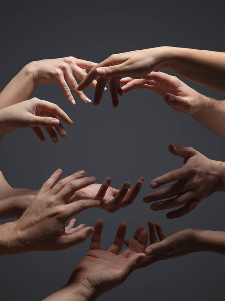 Hands of peoples crowd in touch isolated on grey studio background. Concept of human relation, community, togetherness, symbolism - Zdjęcie, obraz