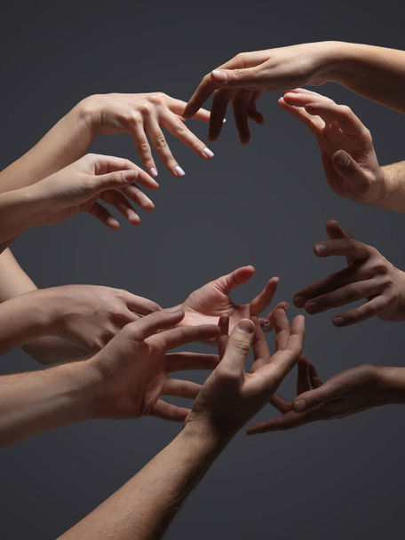 Hands of peoples crowd in touch isolated on grey studio background. Concept of human relation, community, togetherness, symbolism - Fotoğraf, Görsel