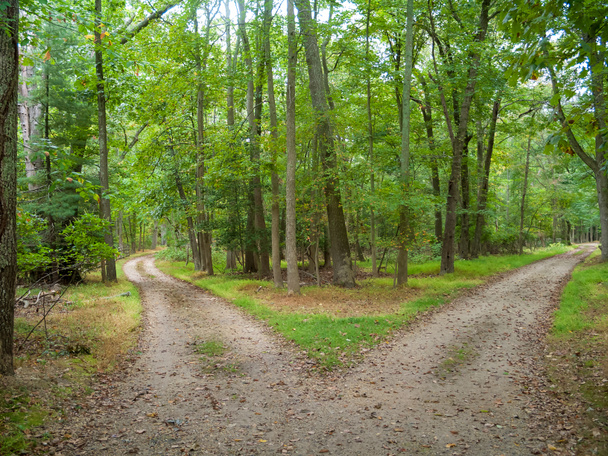 Twee paden versmelten tot één in dit Monmouth County New Jersey landschap.. - Foto, afbeelding