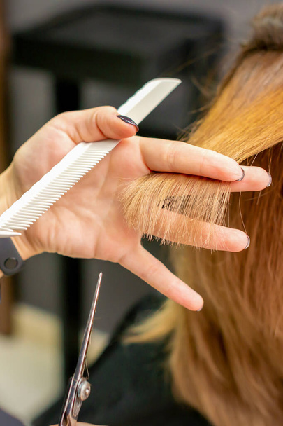 Крупним планом, перукарня вирізає червоне або коричневе волосся молодій жінці в салоні краси. Стрижка в перукарні
 - Фото, зображення