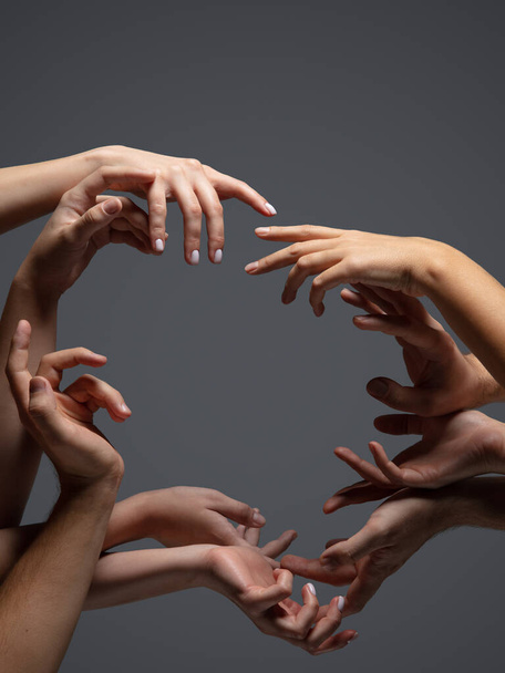 Hands of peoples crowd in touch isolated on grey studio background. Concept of human relation, community, togetherness, symbolism - Foto, imagen