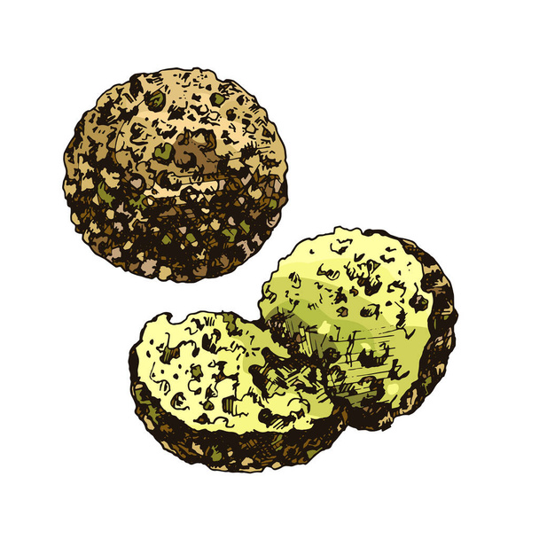 Falafelové koule. Jídlo středovýchodní tradiční jídlo. Vektorová barva vinobraní líhnutí ilustrace izolované na bílé - Vektor, obrázek