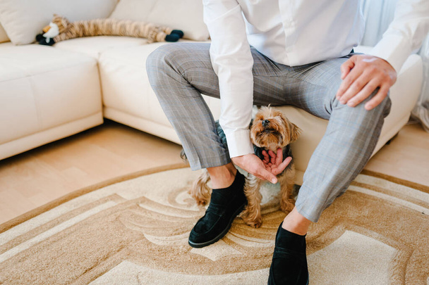 Groom play with Yorkshire terrier in the bedroom in wedding day. - Foto, immagini
