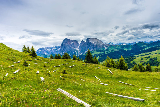 Alpe di Siusi, Seiser Alm with Sassolungo Langkofel Dolomite, buja zöld mező a Seiser Alm Puflatsch Bullacciában - Fotó, kép
