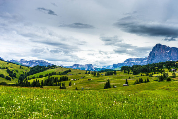 Alpe di Siusi, Seiser Alm with Sassolungo Langkofel Dolomite, buja zöld mező - Fotó, kép