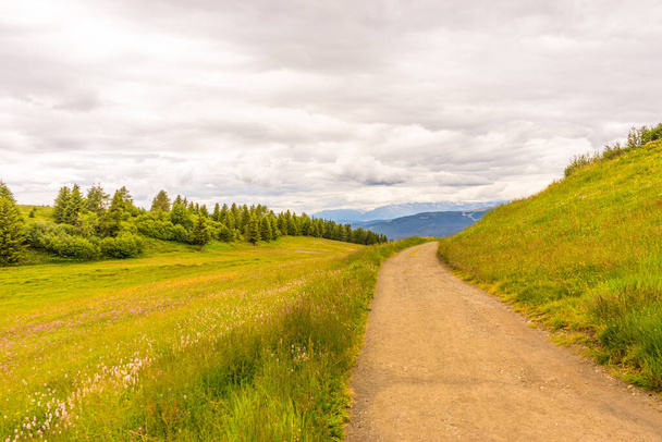 Alpe di Siusi, Seiser Alm con Sassolungo Langkofel Dolomite, un sendero sinuoso senderismo en un exuberante campo verde - Foto, imagen