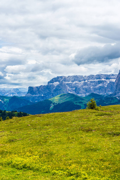 Włochy, Alpe di Siusi, Seiser Alm z Sassolungo Langkofel Dolomite, duże zielone pole z górą w tle - Zdjęcie, obraz