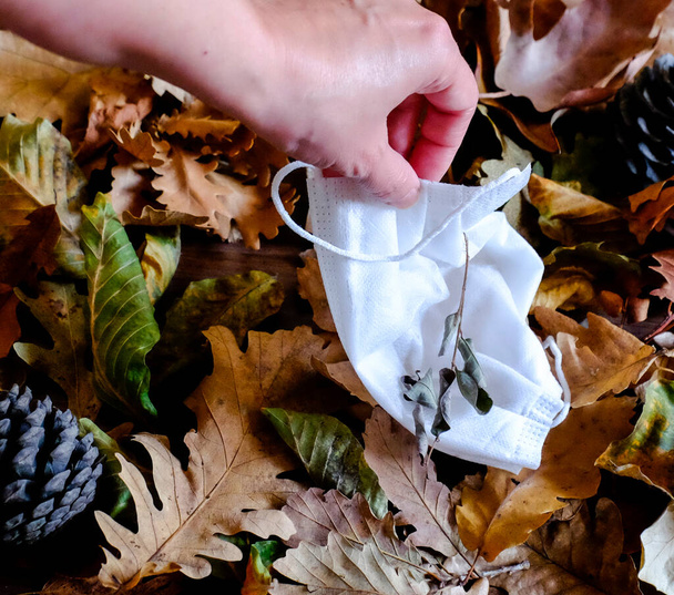 Chirurgische weiße Maske, die während der Herbstepidemie, der Herbstsaison, der Natur, der Pandemie über getrocknete Blätter auf den Boden geworfen wird, Person, die die medizinische Maske vom Boden nimmt  - Foto, Bild