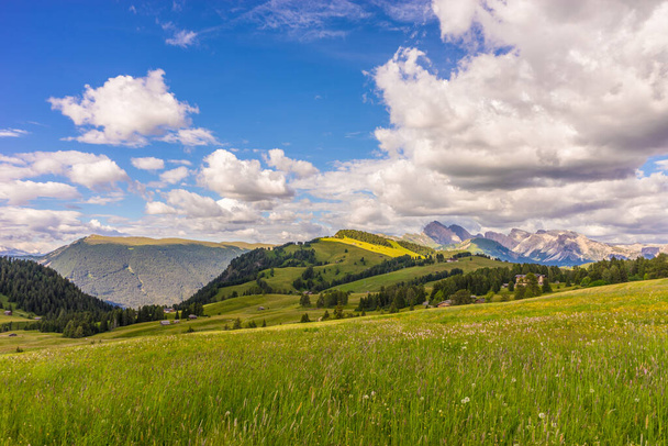 Italia, Alpe di Siusi, Seiser Alm con Sassolungo Langkofel Dolomite, un gran campo verde con una montaña en el fondo - Foto, imagen