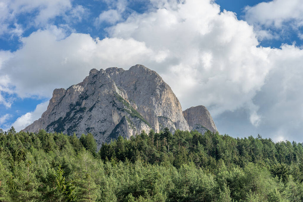 Italia, Alpe di Siusi, Seiser Alm con Sassolungo Langkofel Dolomite, un árbol con una montaña en el fondo - Foto, imagen