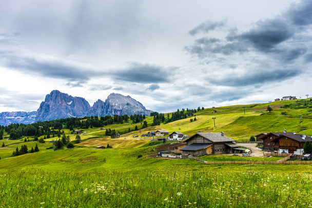 Alpe di Siusi, Seiser Alm con Sassolungo Langkofel Dolomita, exuberante campo verde - Foto, Imagen