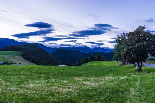Italia, Alpe di Siusi, Seiser Alm con Sassolungo Langkofel Dolomite, un gran campo verde con árboles en el fondo - Foto, Imagen