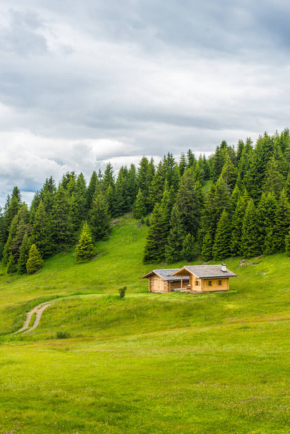 Alpe di Siusi, Seiser Alm con Sassolungo Langkofel Dolomite, un primer plano de un exuberante campo verde con casa queer - Foto, imagen