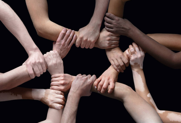 Handen van verschillende mensen in contact geïsoleerd op zwarte studio achtergrond. Begrip menselijke relatie, gemeenschap, saamhorigheid, inclusie - Foto, afbeelding