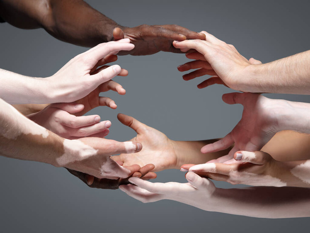 Hands of different people in touch isolated on grey studio background. Concept of human relation, community, togetherness, inclusion - Foto, Bild