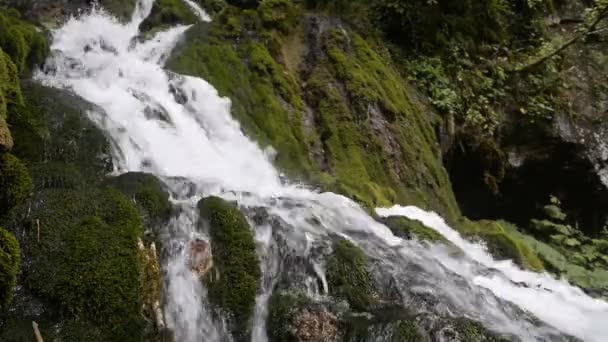 Cachoeira natureza selvagem em floresta profunda. Cachoeira Isichenko. Floresta de Boxwood. Aldeia Mezmay - Filmagem, Vídeo