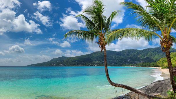 Famous Beau Vallon beach with coconut palm tree on Mahe island, Seychelles. - Photo, Image
