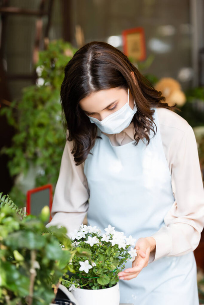 florist in medical mask touching potted plants in flower shop on blurred foreground - Foto, afbeelding
