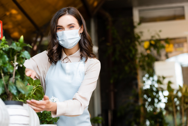 positive florist in medical mask caring about potted plants on blurred background - Φωτογραφία, εικόνα