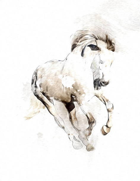 Красочная живопись на коне - Фото, изображение