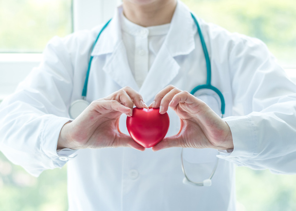 Cardiovascular disease doctor or cardiologist holding red heart in clinic or hospital exam room office for professional medical and cardiology health care service and world heart health day concept - Photo, Image
