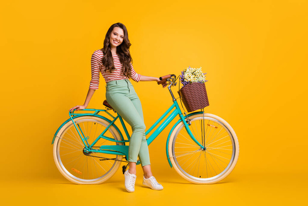 Full length body size photo of pretty girl sitting on bicycle with basket of flowers smiling isolated on vivid yellow color background - Фото, зображення