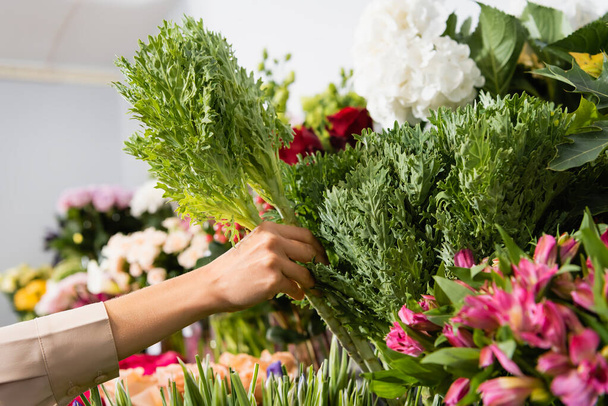 Cropped view of florist taking green plant from rack of flowers on blurred background - Photo, Image