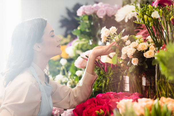 Side view of happy female florist caring about roses near flower range on blurred foreground - Foto, afbeelding