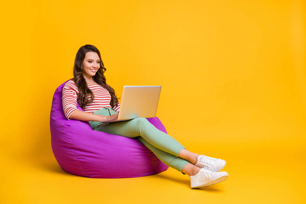 Full length body size side profile photo girl sitting in beanchair with laptop isolated on bright yellow color background with copyspace - Fotó, kép