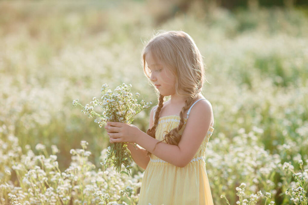 bonito menina recolhendo flores no campo - Foto, Imagem