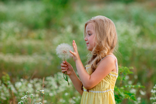 мила маленька дівчинка з кульбабою на полі
  - Фото, зображення