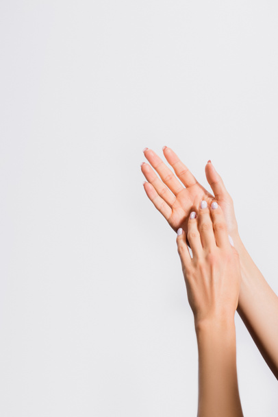 cropped view of female hands isolated on white - Valokuva, kuva