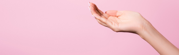 cropped view of female hand isolated on pink, banner - Foto, imagen